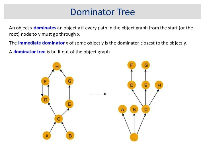 Dominator Tree An object x dominates an object y if every