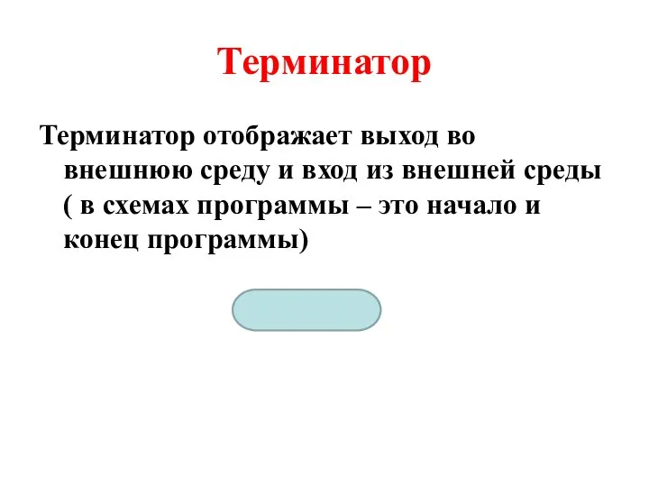 Терминатор Терминатор отображает выход во внешнюю среду и вход из внешней