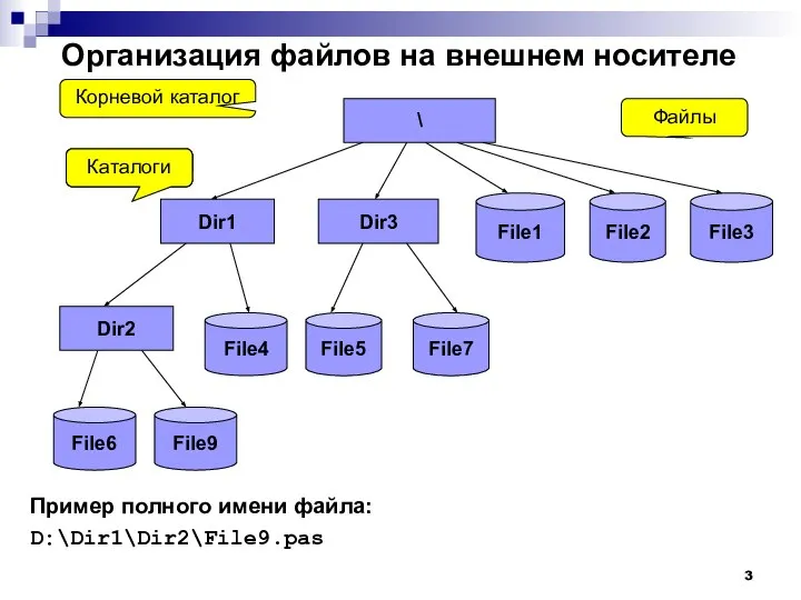 Организация файлов на внешнем носителе Пример полного имени файла: D:\Dir1\Dir2\File9.pas \