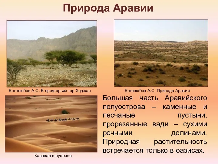 Природа Аравии Большая часть Аравийского полуострова – каменные и песчаные пустыни,