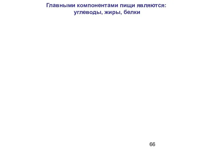 Главными компонентами пищи являются: углеводы, жиры, белки