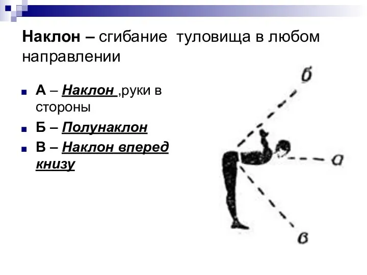 Наклон – сгибание туловища в любом направлении А – Наклон ,руки