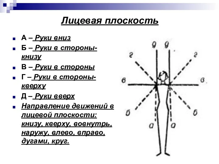 Лицевая плоскость А – Руки вниз Б – Руки в стороны-книзу