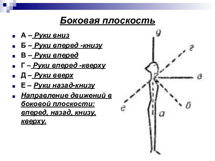 Боковая плоскость А – Руки вниз Б – Руки вперед -книзу