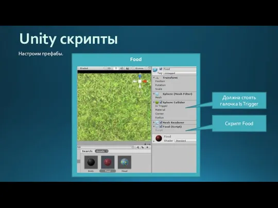 Food Unity скрипты Настроим префабы. Должна стоять галочка Is Trigger Скрипт Food