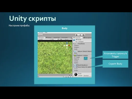 Body Unity скрипты Настроим префабы. Скрипт Body Установить галочку Is Trigger