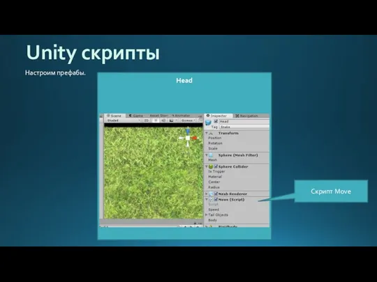 Head Unity скрипты Настроим префабы. Скрипт Move