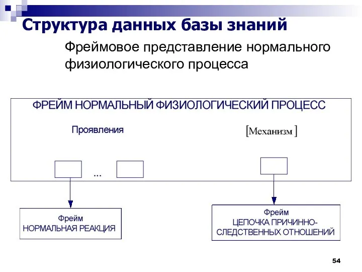 Фреймовое представление нормального физиологического процесса Структура данных базы знаний