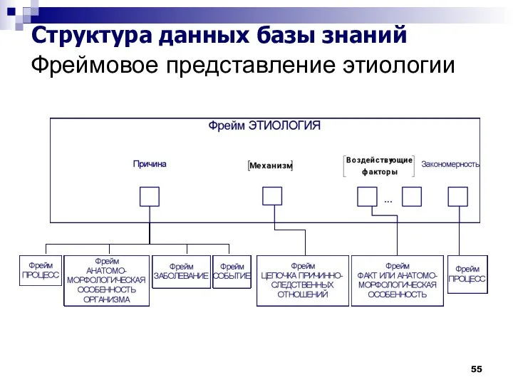 Фреймовое представление этиологии Структура данных базы знаний