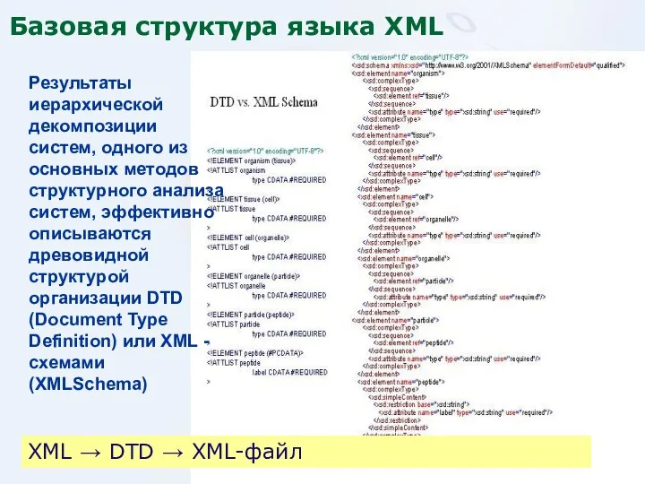 XML → DTD → XML-файл Базовая структура языка XML Результаты иерархической