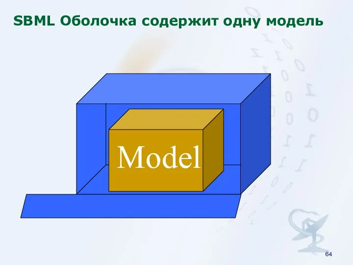 SBML Оболочка содержит одну модель Model