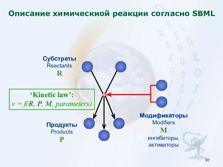 Описание химическиой реакции согласно SBML Субстраты Reactants R Продукты Products P