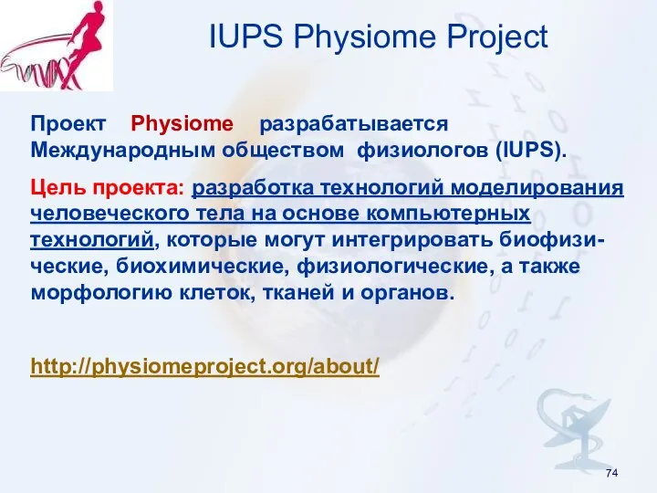 IUPS Physiome Project Проект Physiome разрабатывается Международным обществом физиологов (IUPS). Цель
