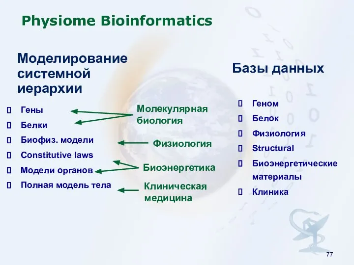 Physiome Bioinformatics Гены Белки Биофиз. модели Constitutive laws Модели органов Полная