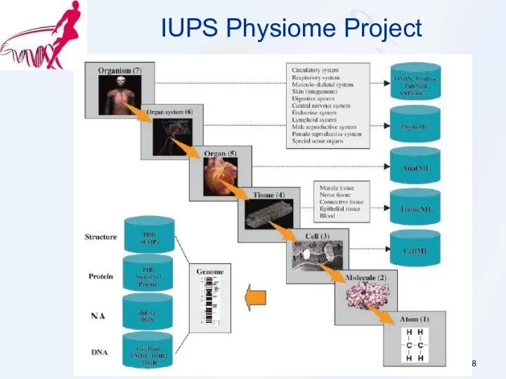 IUPS Physiome Project