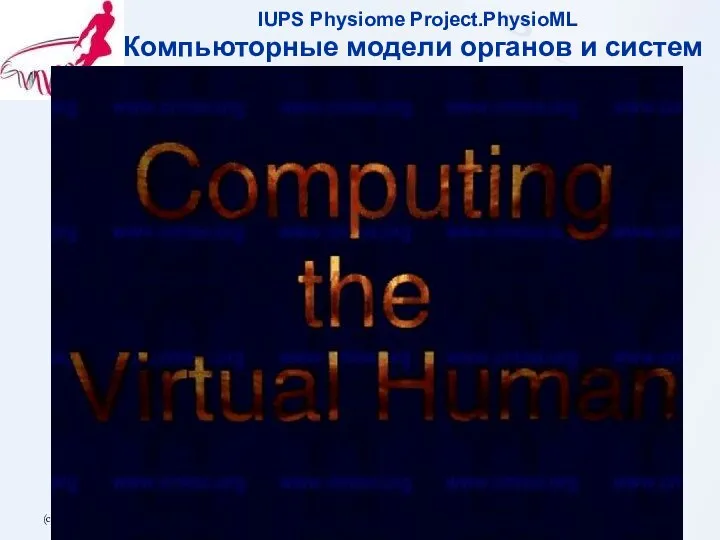 (с) Рыжов А.А. 2006.10.12 IUPS Physiome Project.PhysioML Компьюторные модели органов и систем