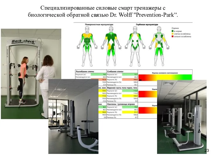 Специализированные силовые смарт тренажеры с биологической обратной связью Dr. Wolff "Prevention-Park”.