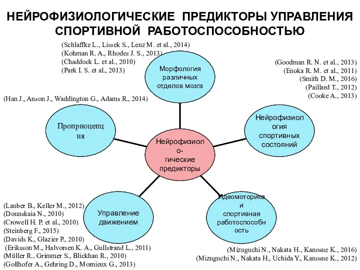 НЕЙРОФИЗИОЛОГИЧЕСКИЕ ПРЕДИКТОРЫ УПРАВЛЕНИЯ CПОРТИВНОЙ РАБОТОСПОСОБНОСТЬЮ (Mizuguchi N., Nakata H., Kanosue K.,