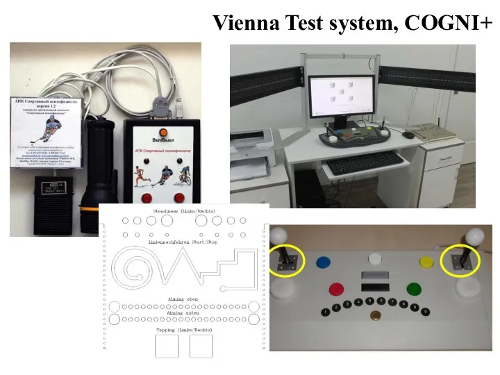Vienna Test system, COGNI+