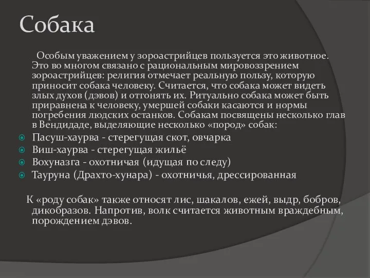 Собака Особым уважением у зороастрийцев пользуется это животное. Это во многом