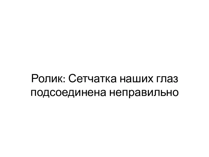 Ролик: Сетчатка наших глаз подсоединена неправильно