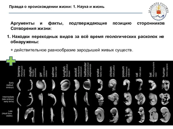 Правда о происхождении жизни: 1. Наука и жизнь Аргументы и факты,