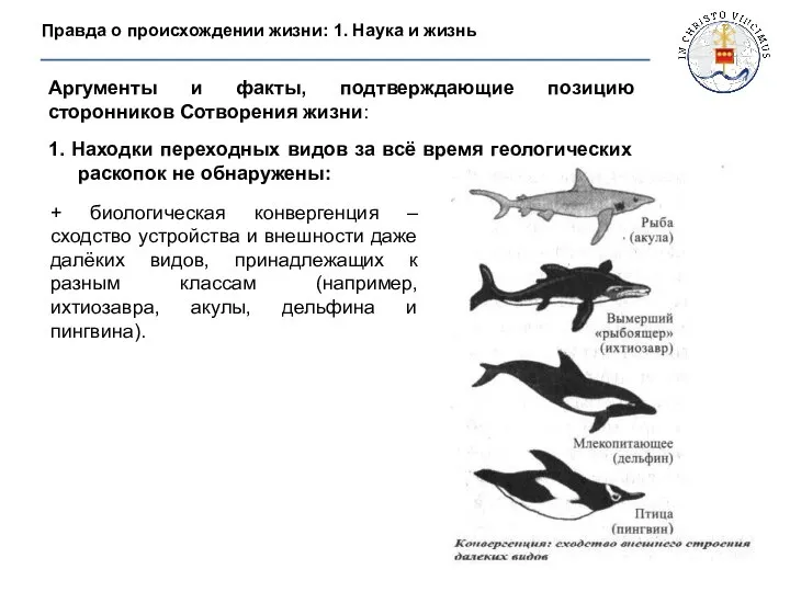 + биологическая конвергенция – сходство устройства и внешности даже далёких видов,