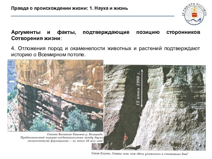 Аргументы и факты, подтверждающие позицию сторонников Сотворения жизни: 4. Отложения пород