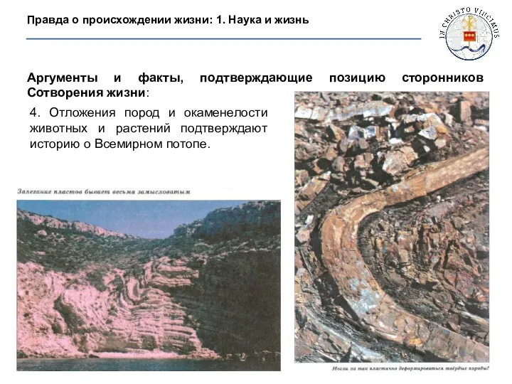 Аргументы и факты, подтверждающие позицию сторонников Сотворения жизни: 4. Отложения пород