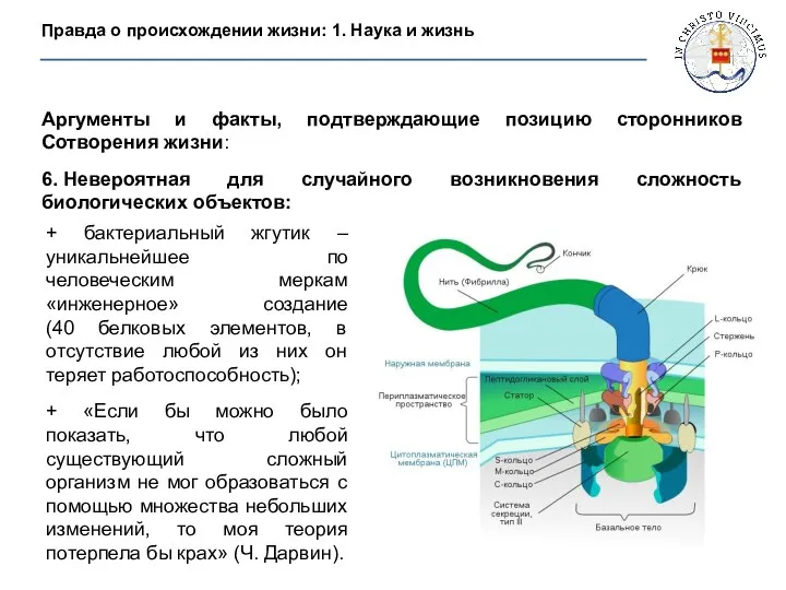 Аргументы и факты, подтверждающие позицию сторонников Сотворения жизни: 6. Невероятная для