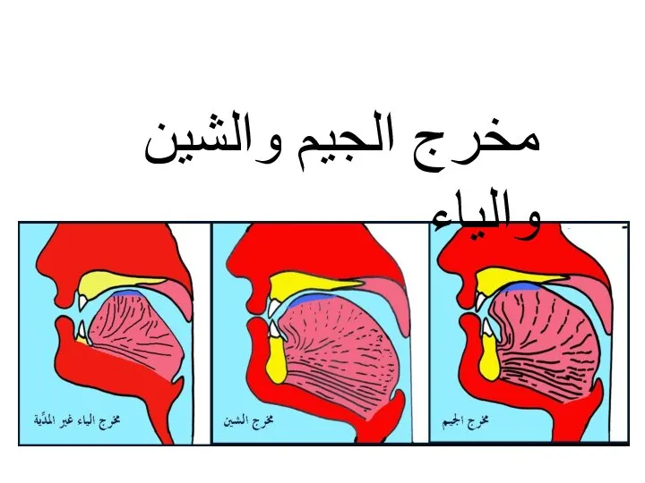 مخرج الجيم والشين والياء