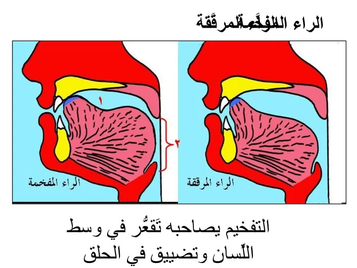 الراء المرقَّقة الراء المفخَّمة التفخيم يصاحبه تَقعُّر في وسط اللِّسان وتضييق في الحلق بخلاف الترقيق