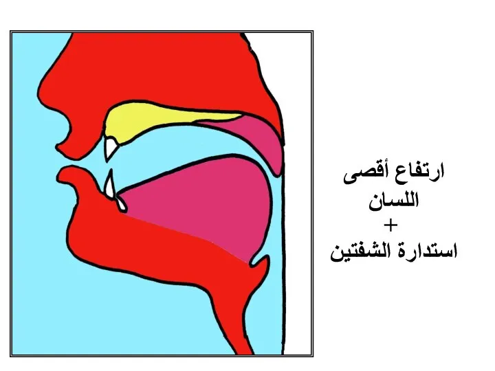 مخرج الواو ارتفاع أقصى اللسان + استدارة الشفتين