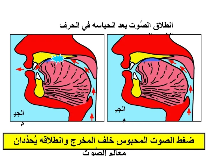 ضغط الصوت المحبوس خلف المخرج وانطلاقه يُحدِّدان معالم الصَّوت الجيم انطلاق