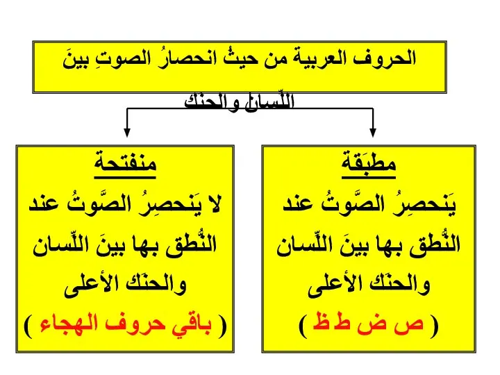 الحروف العربية من حيثُ انحصارُ الصوتِ بينَ اللِّسانِ والحنَك مطبَقة يَنحصِرُ