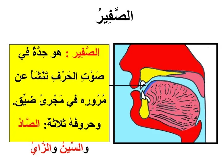 الصَّفِير : هو حِدَّةٌ في صَوْتِ الحَرْفِ تَنْشَأُ عن مُرُورِه في