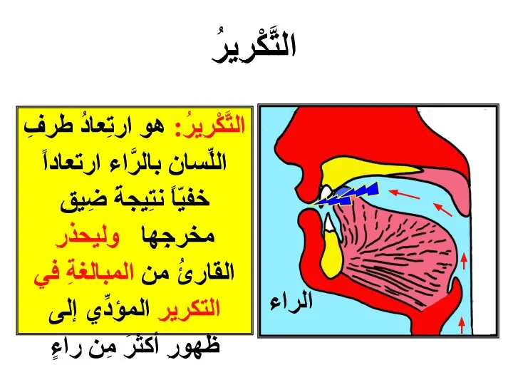 الراء التَّكْرِيرُ: هو ارتِعادُ طرفِ اللِّسان بالرَّاء ارتعاداً خفيّاً نتِيجةَ ضِيقِ