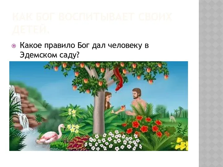 КАК БОГ ВОСПИТЫВАЕТ СВОИХ ДЕТЕЙ. Какое правило Бог дал человеку в Эдемском саду?