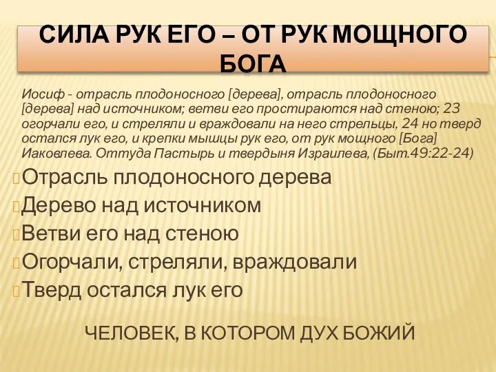 СИЛА РУК ЕГО – ОТ РУК МОЩНОГО БОГА Иосиф - отрасль