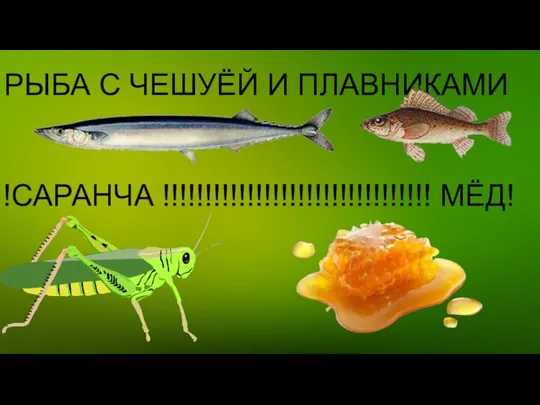 РЫБА С ЧЕШУЁЙ И ПЛАВНИКАМИ !САРАНЧА !!!!!!!!!!!!!!!!!!!!!!!!!!!!!!!! МЁД!