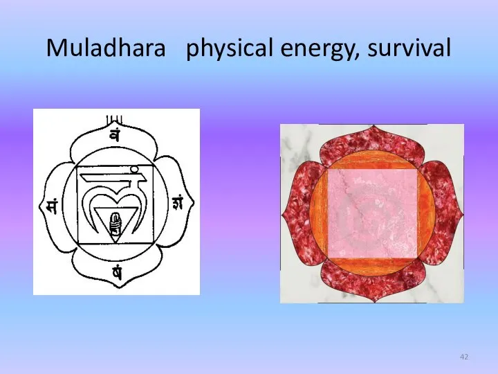 Muladhara physical energy, survival