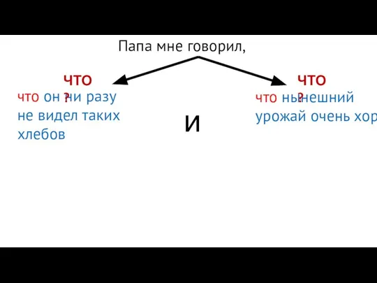 Папа мне говорил, что он ни разу не видел таких хлебов