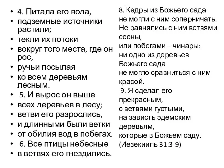 8. Кедры из Божьего сада не могли с ним соперничать. Не