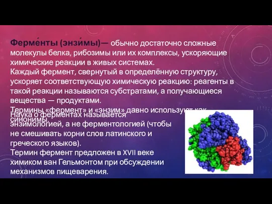 Ферме́нты (энзи́мы)— обычно достаточно сложные молекулы белка, рибозимы или их комплексы,