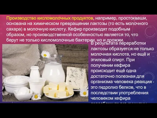 Производство кисломолочных продуктов, например, простокваши, основана на химическом превращении лактозы (то