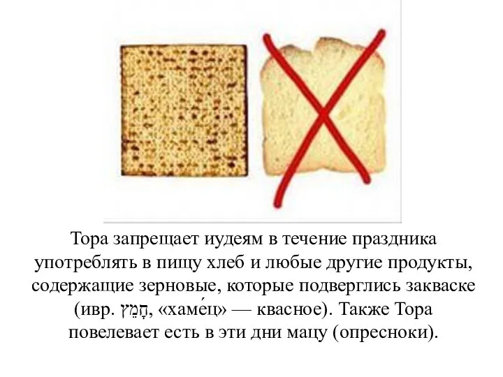 Тора запрещает иудеям в течение праздника употреблять в пищу хлеб и