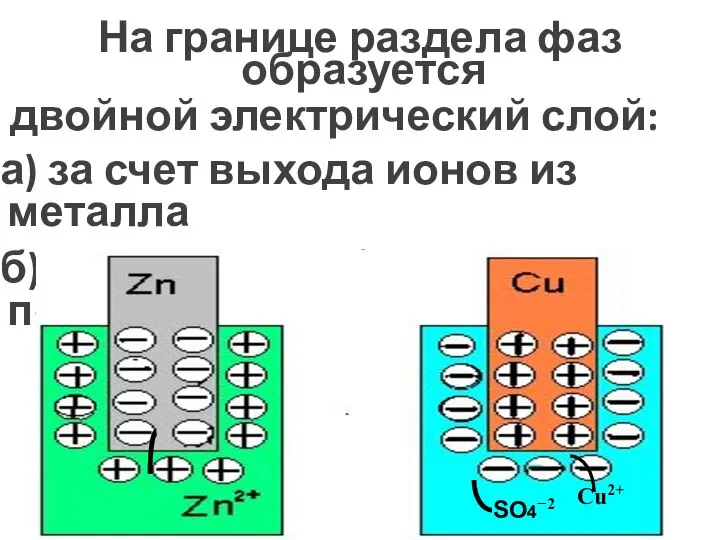 На границе раздела фаз образуется двойной электрический слой: а) за счет