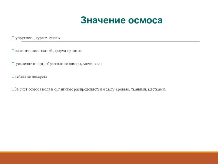 Значение осмоса ⮚ упругость, тургор клеток ⮚ эластичность тканей, форма органов