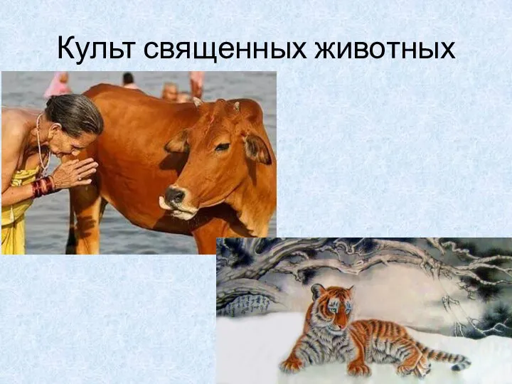 Культ священных животных