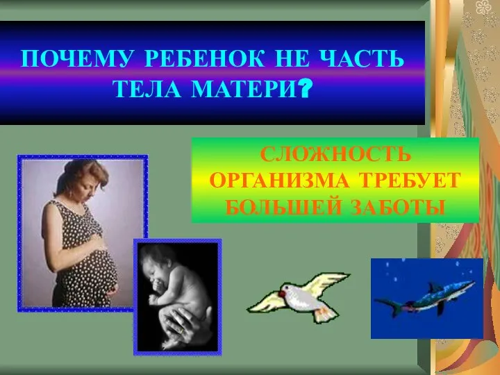 ПОЧЕМУ РЕБЕНОК НЕ ЧАСТЬ ТЕЛА МАТЕРИ? СЛОЖНОСТЬ ОРГАНИЗМА ТРЕБУЕТ БОЛЬШЕЙ ЗАБОТЫ